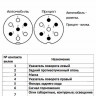 Розетка + вилка фаркопа, 7-контактні, пластикові